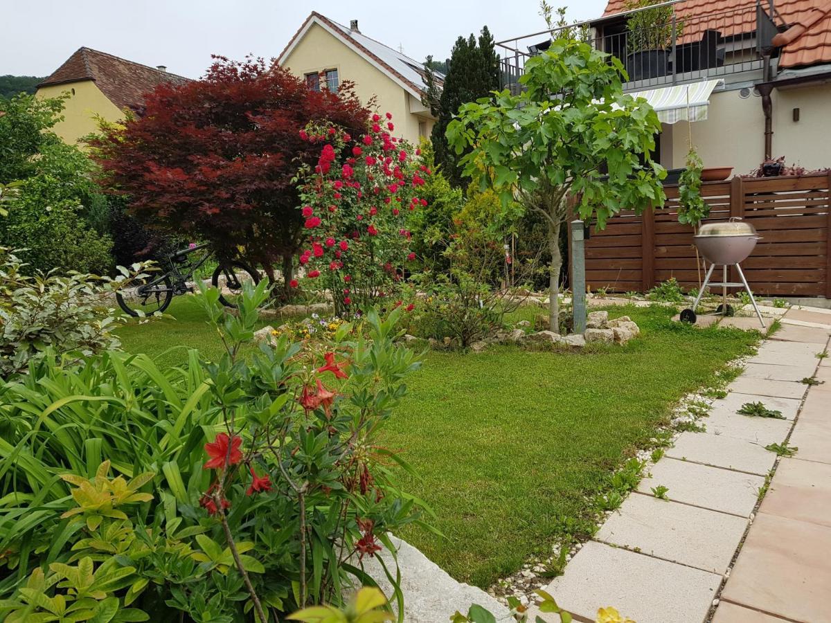 Bnb Comfort Guesthouse Olten - Lostorf エクステリア 写真