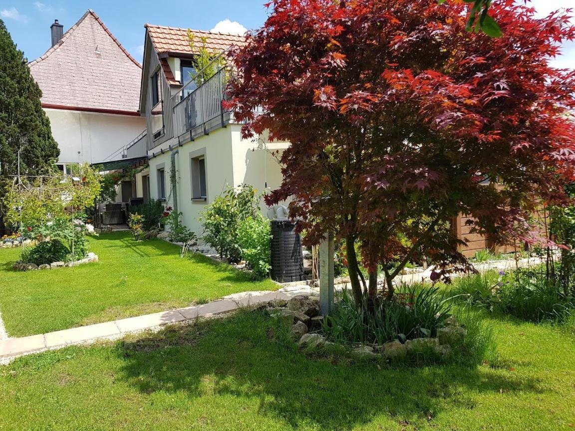 Bnb Comfort Guesthouse Olten - Lostorf エクステリア 写真