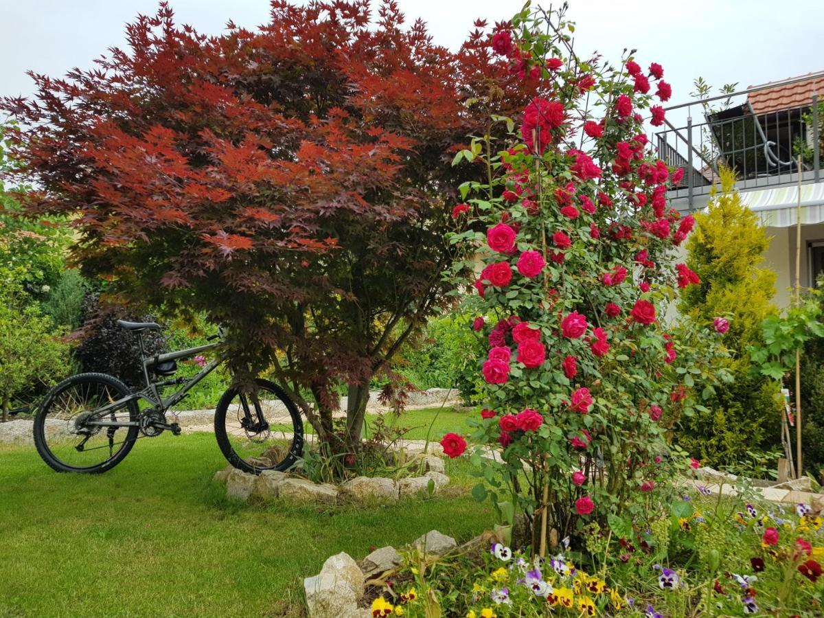 Bnb Comfort Guesthouse Olten - Lostorf エクステリア 写真