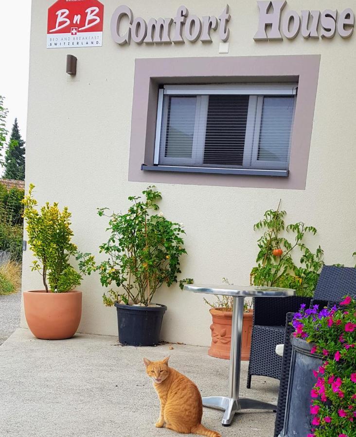 Bnb Comfort Guesthouse Olten - Lostorf エクステリア 写真