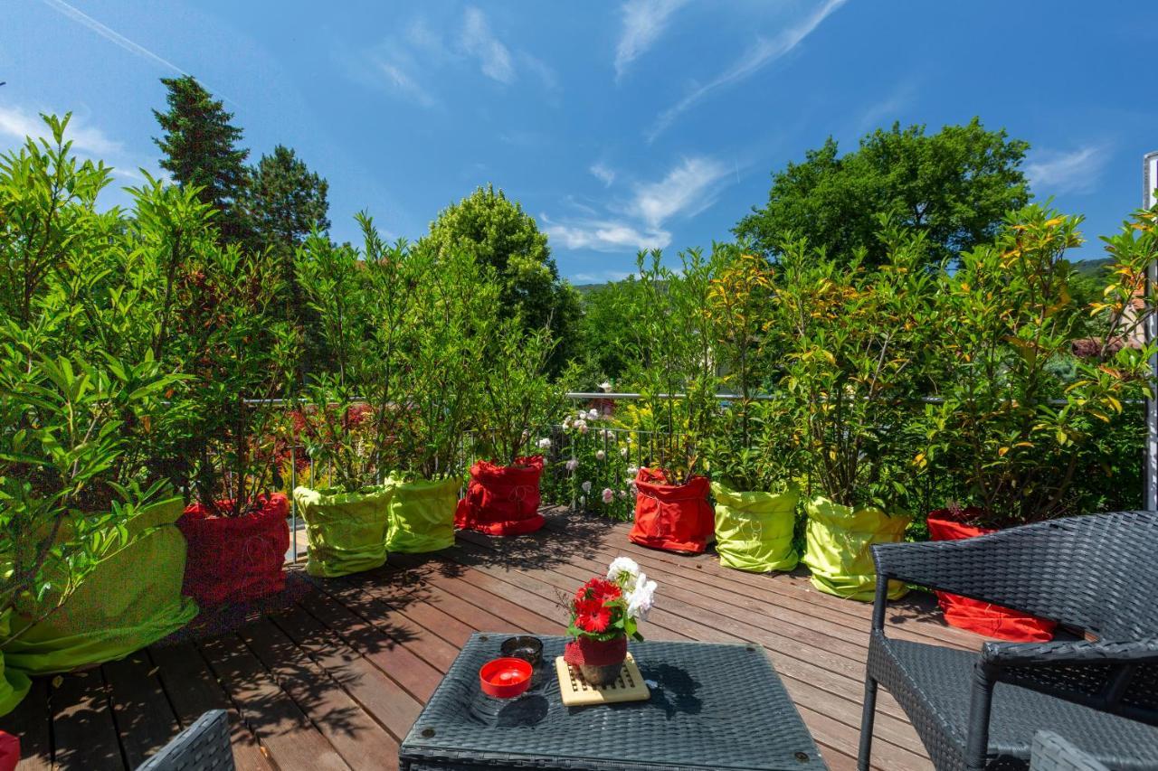Bnb Comfort Guesthouse Olten - Lostorf エクステリア 写真