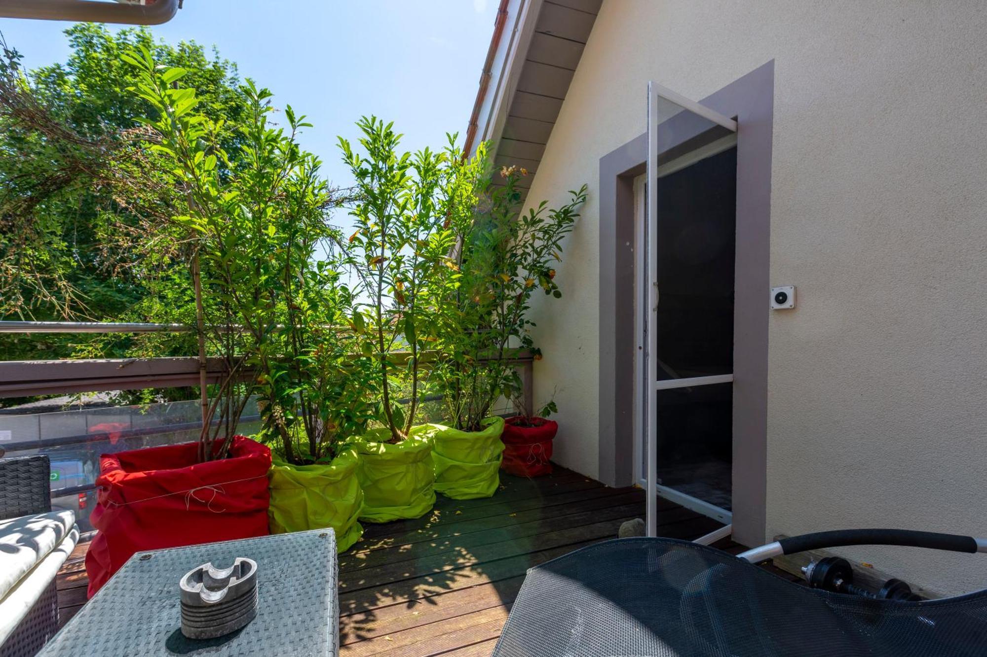 Bnb Comfort Guesthouse Olten - Lostorf エクステリア 写真