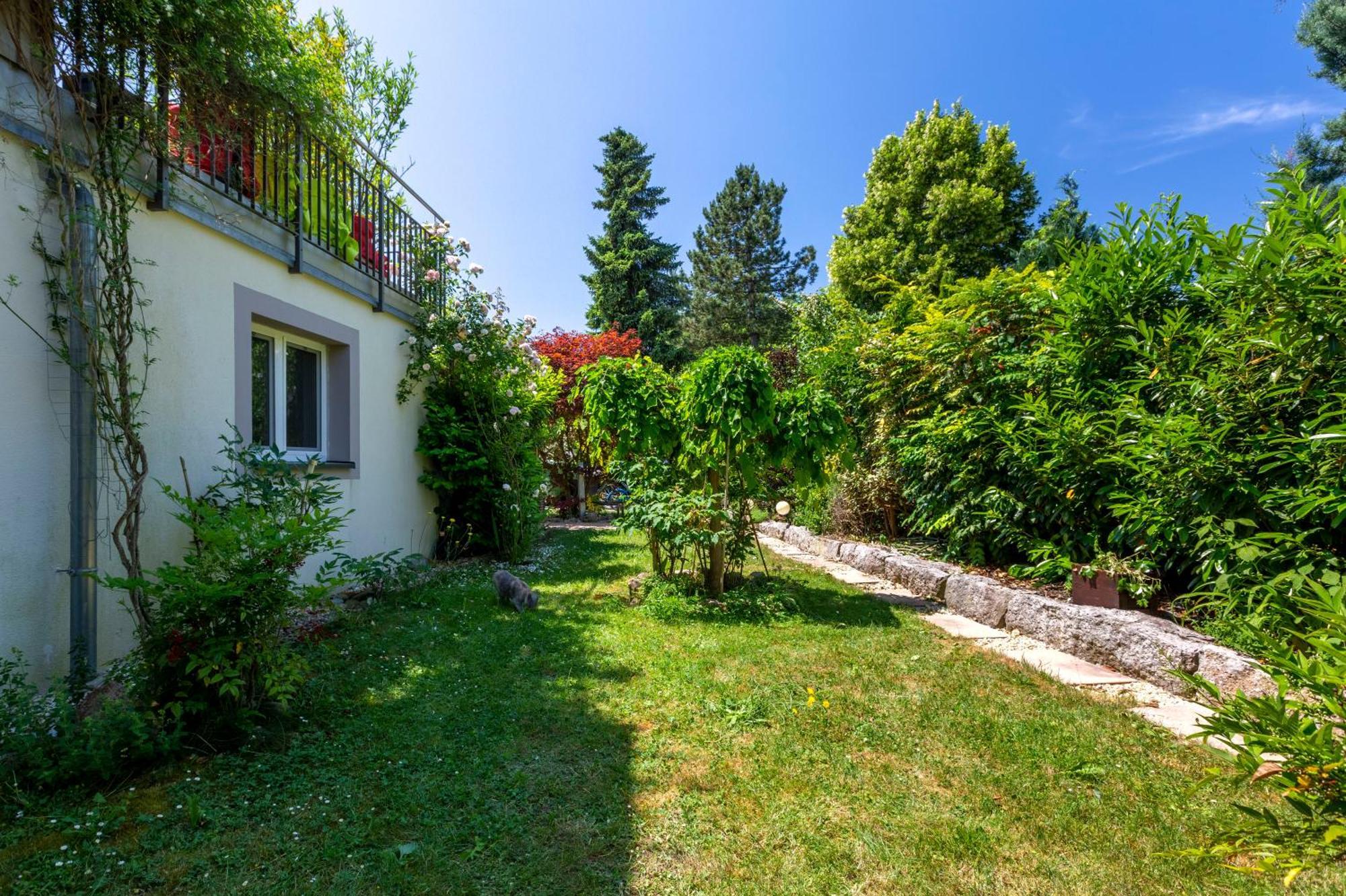 Bnb Comfort Guesthouse Olten - Lostorf エクステリア 写真